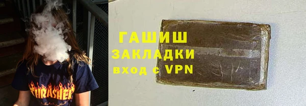хмурый Алексин