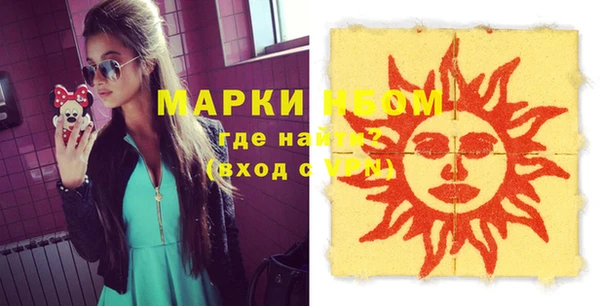 хмурый Алексин
