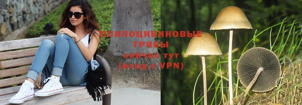 хмурый Алексин