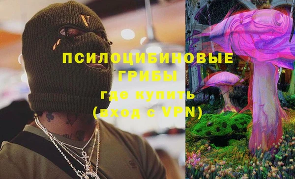 хмурый Алексин