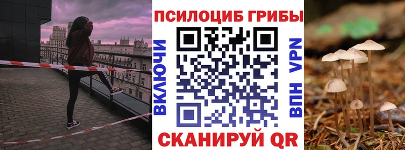 Галлюциногенные грибы ЛСД даркнет сайт Игарка